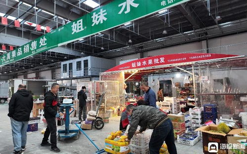 打造“超級菜籃子” 禹城智慧冷鏈物流產(chǎn)業(yè)園煥新區(qū)域農(nóng)產(chǎn)品流通格局